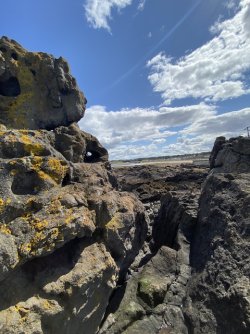 IMG_2188.jpeg IMG_2188.jpeg