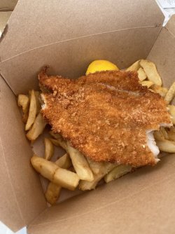 IMG_2181.jpeg IMG_2181.jpeg