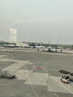 IMG_3205.jpeg IMG_3205.jpeg