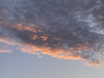 IMG_4249.JPG IMG_4249.JPG