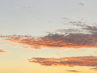 IMG_4250.JPG IMG_4250.JPG