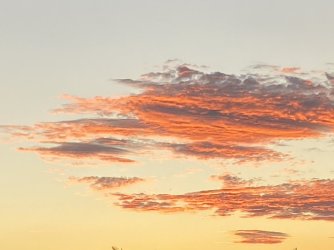 IMG_4251.JPG IMG_4251.JPG