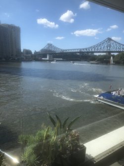 IMG_6932.jpeg IMG_6932.jpeg