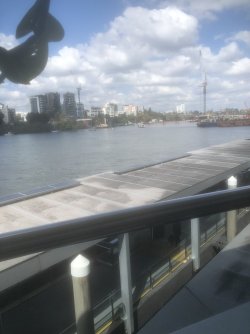 IMG_6933.jpeg IMG_6933.jpeg