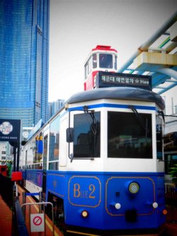 jpeg-optimizer_IMG_0058(4).JPG jpeg-optimizer_IMG_0058(4).JPG