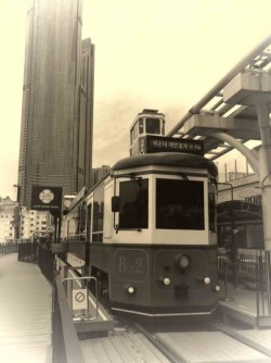 jpeg-optimizer_IMG_0059(2).JPG jpeg-optimizer_IMG_0059(2).JPG