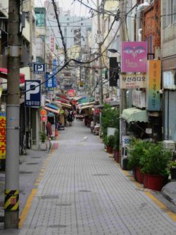 jpeg-optimizer_IMG_0085(2).JPG jpeg-optimizer_IMG_0085(2).JPG