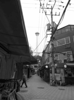 jpeg-optimizer_IMG_0101(3).JPG jpeg-optimizer_IMG_0101(3).JPG