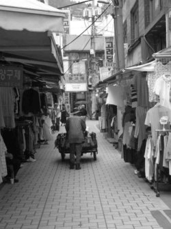 jpeg-optimizer_IMG_0102(4).JPG jpeg-optimizer_IMG_0102(4).JPG