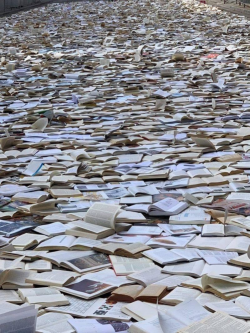 1692752385230.png 1692752385230.png