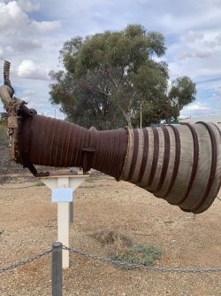 IMG_3720.jpeg IMG_3720.jpeg