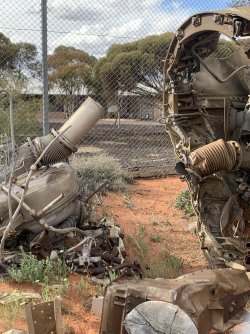 IMG_3730.jpeg IMG_3730.jpeg