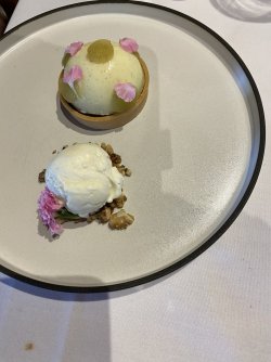 IMG_4299.jpeg IMG_4299.jpeg