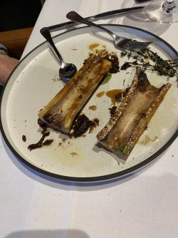 IMG_4297.jpeg IMG_4297.jpeg