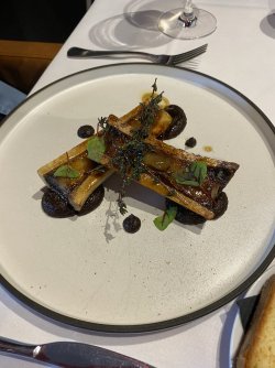 IMG_4290.jpeg IMG_4290.jpeg