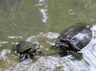 jpeg-optimizer_IMG_0222(6).JPG jpeg-optimizer_IMG_0222(6).JPG