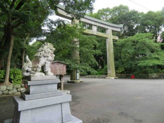 jpeg-optimizer_IMG_0270(2).JPG jpeg-optimizer_IMG_0270(2).JPG