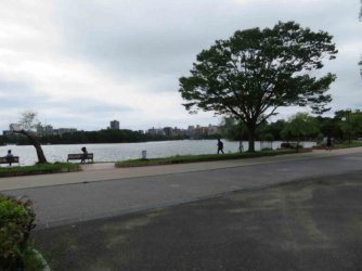 jpeg-optimizer_IMG_0286.JPG jpeg-optimizer_IMG_0286.JPG