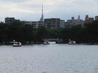 jpeg-optimizer_IMG_0291(1).JPG jpeg-optimizer_IMG_0291(1).JPG