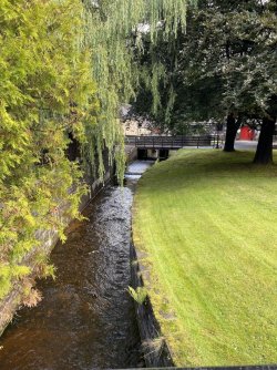 IMG_2441.jpeg IMG_2441.jpeg