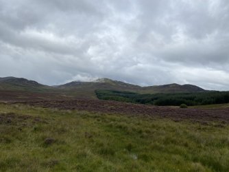 IMG_2447.jpeg IMG_2447.jpeg