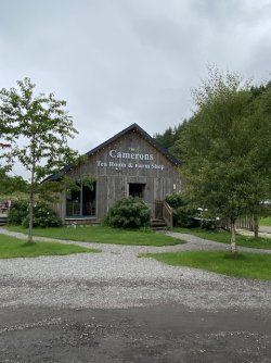 IMG_2492.jpeg IMG_2492.jpeg