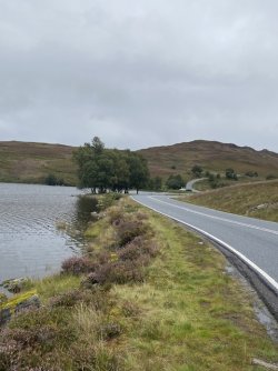 IMG_2501.jpeg IMG_2501.jpeg