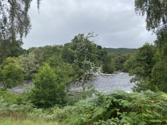 IMG_2497.jpeg IMG_2497.jpeg