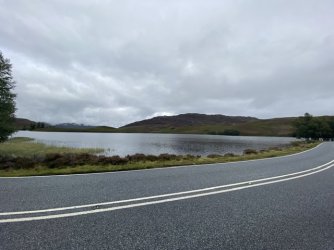 IMG_2500.jpeg IMG_2500.jpeg