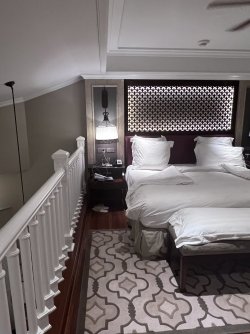 IMG_5013.jpeg IMG_5013.jpeg