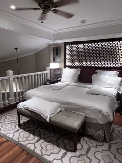 IMG_5014.jpeg IMG_5014.jpeg