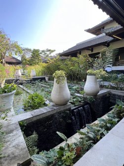 IMG_5045.jpeg IMG_5045.jpeg