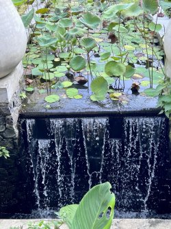 IMG_5046.jpeg IMG_5046.jpeg