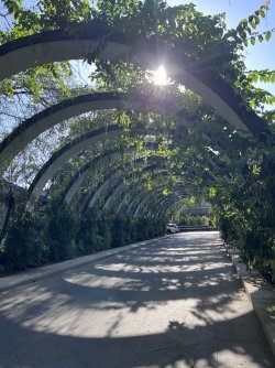 IMG_5043.jpeg IMG_5043.jpeg