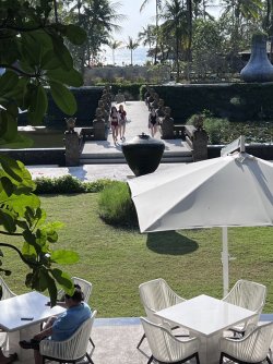 IMG_5049.jpeg IMG_5049.jpeg