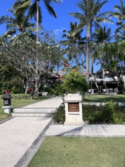 IMG_4990.jpeg IMG_4990.jpeg