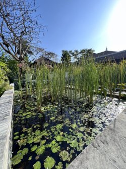 IMG_5044.jpeg IMG_5044.jpeg