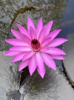 IMG_5023.jpeg IMG_5023.jpeg