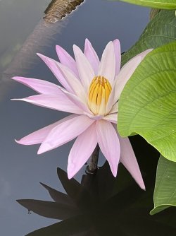 IMG_5025.jpeg IMG_5025.jpeg