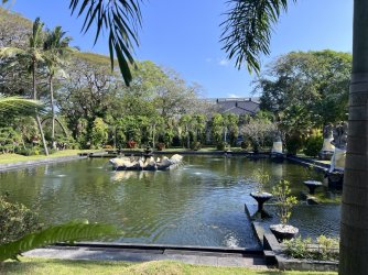 IMG_5039.jpeg IMG_5039.jpeg