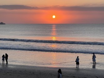 IMG_4998.jpeg IMG_4998.jpeg