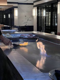 IMG_5123.jpeg IMG_5123.jpeg