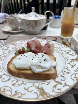 IMG_5066.jpeg IMG_5066.jpeg