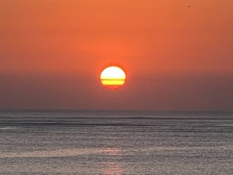 IMG_5143.jpeg IMG_5143.jpeg