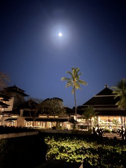 IMG_5168.jpeg IMG_5168.jpeg