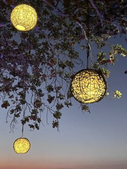 FullSizeRender.jpeg FullSizeRender.jpeg