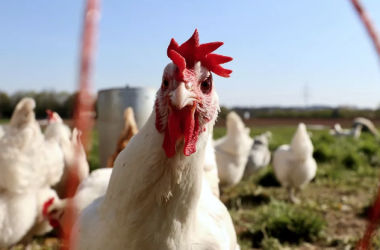 1693918337874.png 1693918337874.png