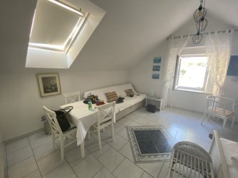 IMG_2868.jpeg IMG_2868.jpeg