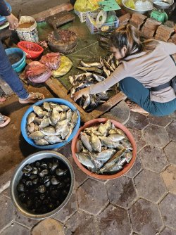 20230911_154153.jpg 20230911_154153.jpg