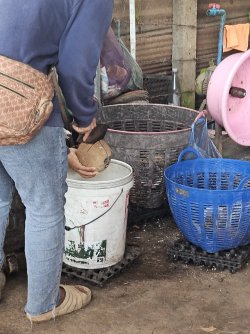 20230911_153537.jpg 20230911_153537.jpg